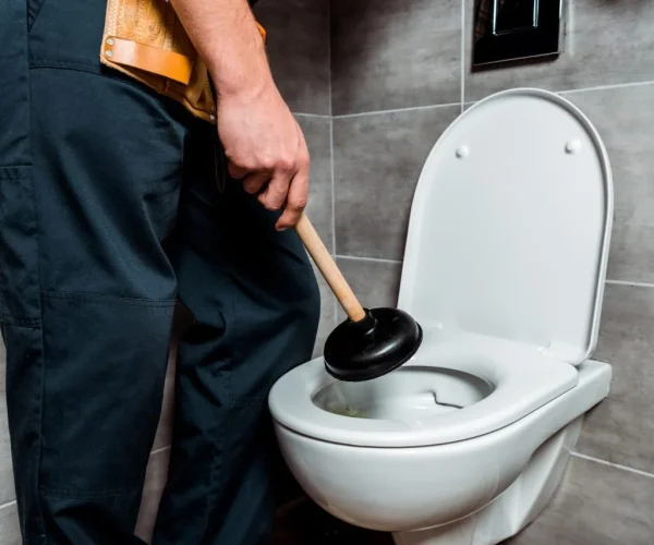 cropped-view-of-plumber-holding-plunger-near-toilet